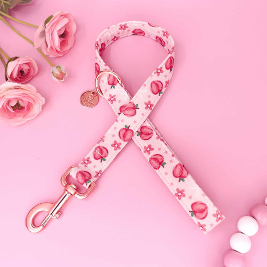 Sweet peach pink dog leash with floral peach pattern