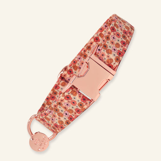 "Autumn Whimsy" Collar
