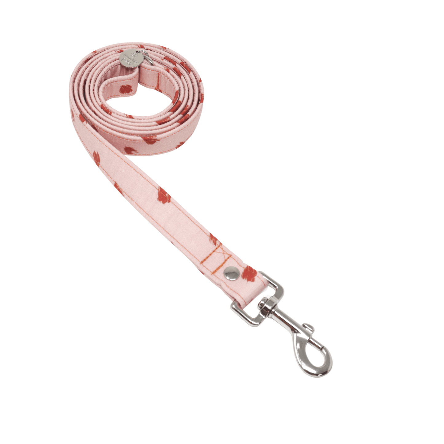 "Peanut Brittle" Leash