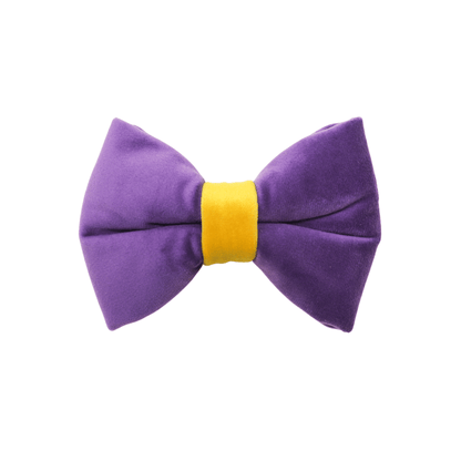 "AMETHYST" BOW TIE