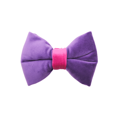 "AMETHYST" BOW TIE