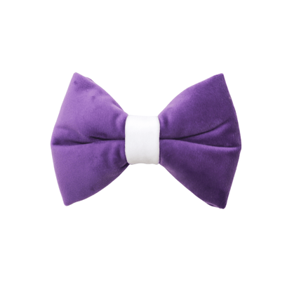 "AMETHYST" BOW TIE