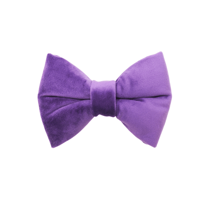 "AMETHYST" BOW TIE