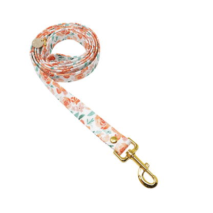 "Sorbet" Leash