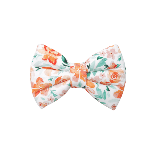 "Sorbet" Bowtie