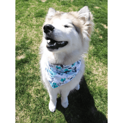 "Aquamarine" Reversible Bandana