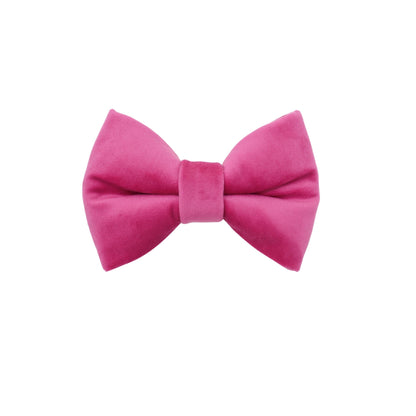 "ELECTRIC LOVE"" PUFFY BOWTIES