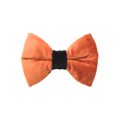 "CINNAMON APPLES" BOW TIE