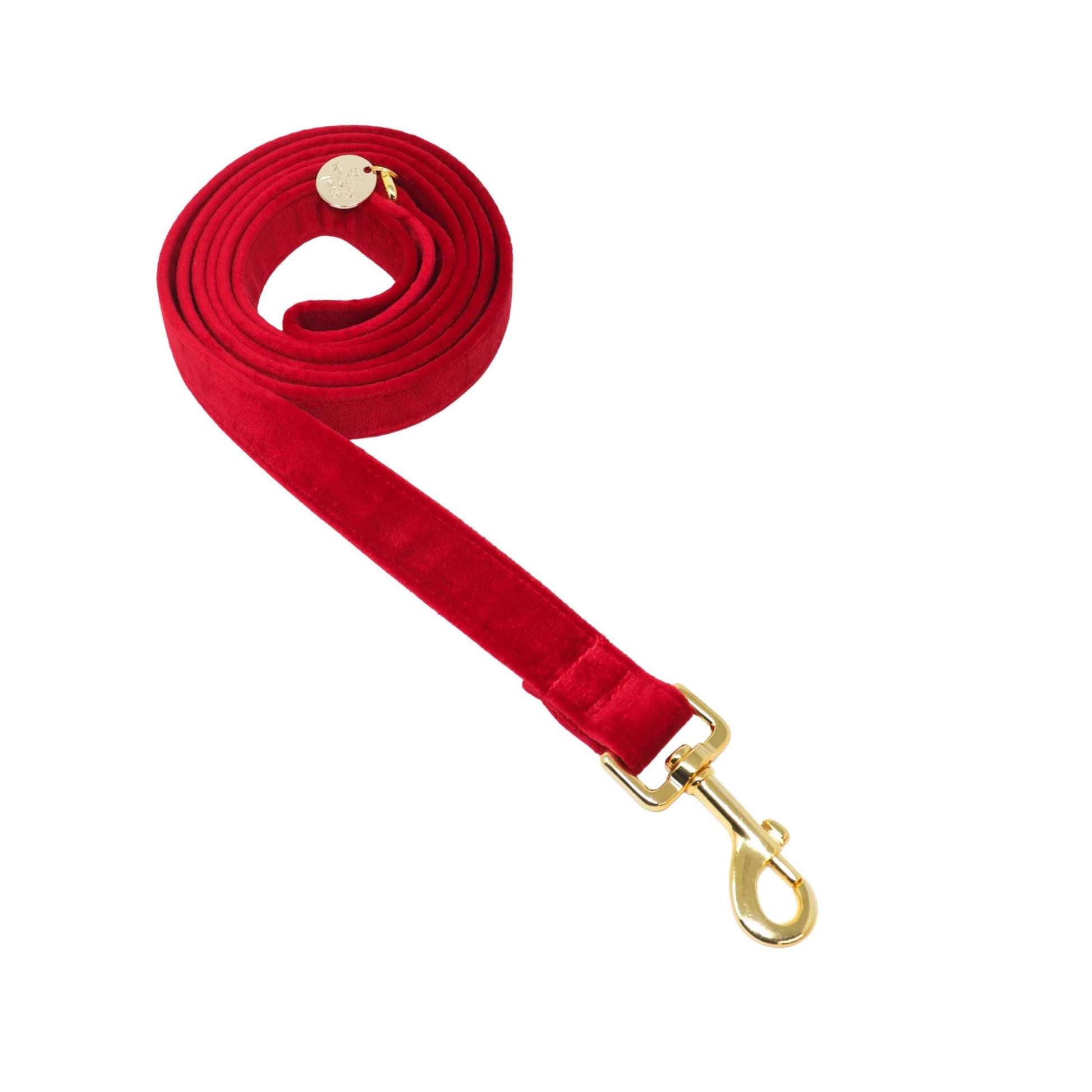 Holiday Paw-ty Time Christmas Dog Leashes
