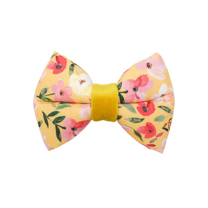 "Cosmos" Bowtie