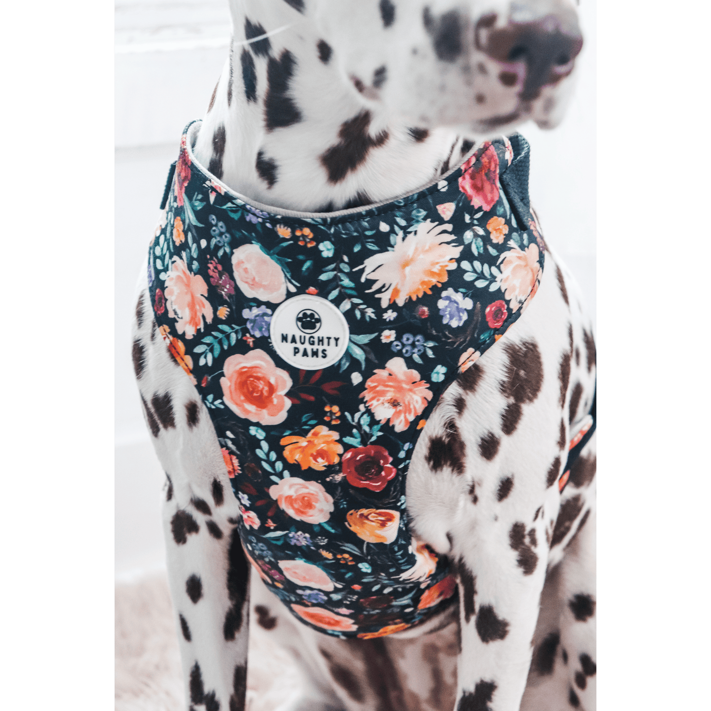 "Moody Floral" Chest Harness