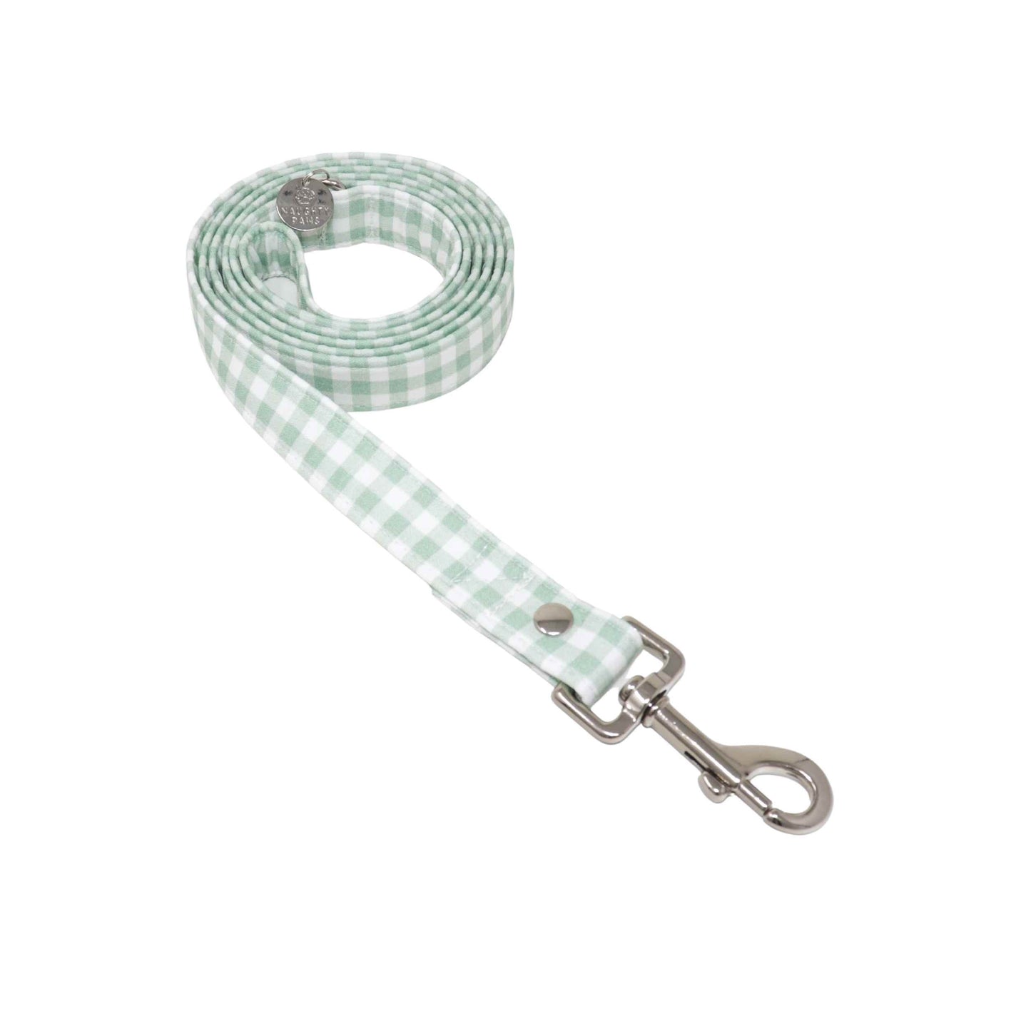 "Mint To Be" Leash