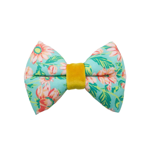 "Riviera Maya" Bowtie