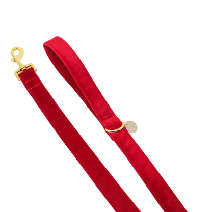 "RUBY" LEASH