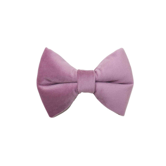 handmade light purple velvet dog bow tie for weddings or spring.