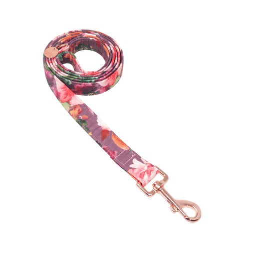 "Perfectly Plum" Leash