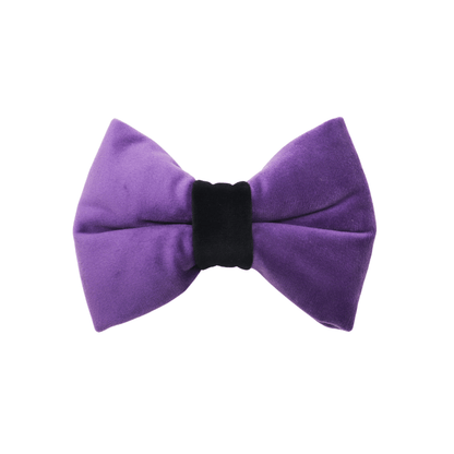 "AMETHYST" BOW TIE