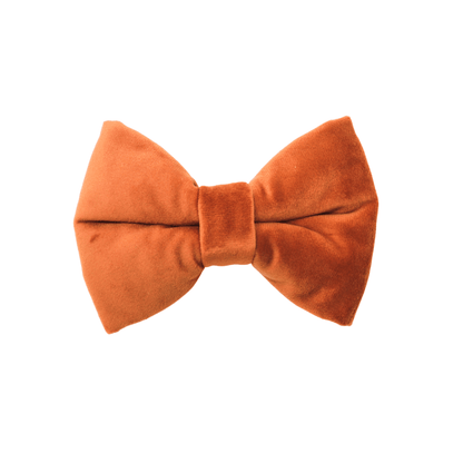 "CINNAMON APPLES" BOW TIE