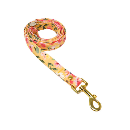 "Cosmos" Leash