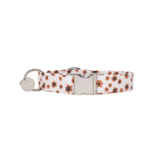 Looking for a collar that's both bohemian and beautiful? Our "Cappuccino Blooms" Boho Brown and Cream Floral Girl Dog Collar is the perfect choice! Available in sizes ranging from extra extra small to extra large, our collar is designed to fit dogs of all sizes. The unique and stylish floral pattern features shades of brown and cream, creating a subtle and sophisticated look.  