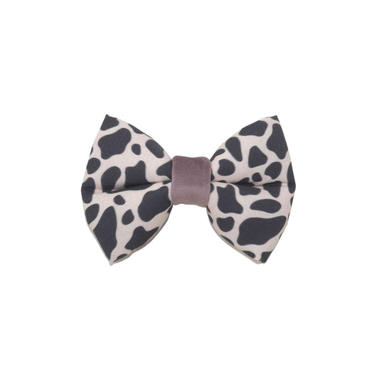 puppy dog bow tie, cow print pet bows