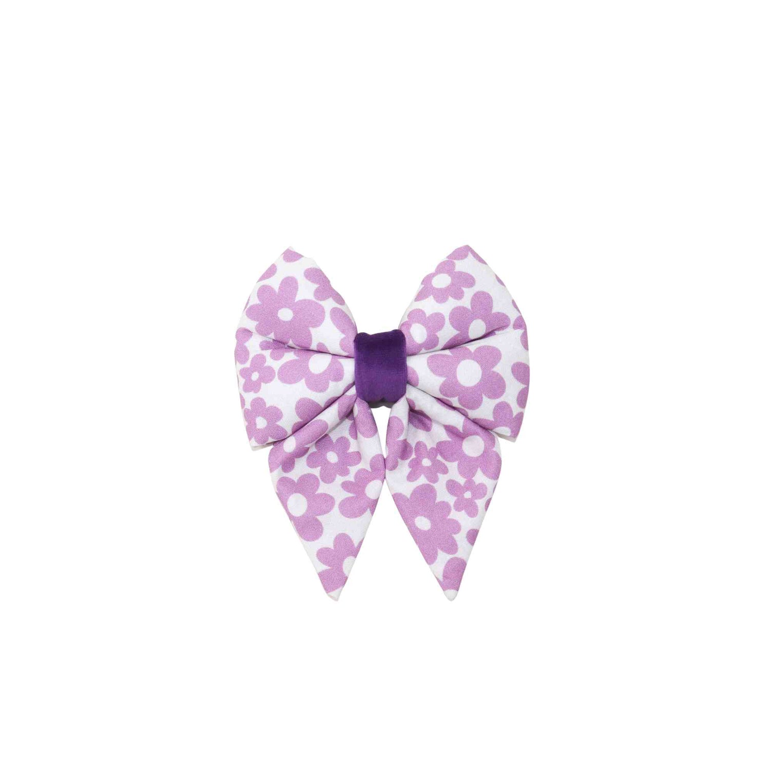 Spring Collection