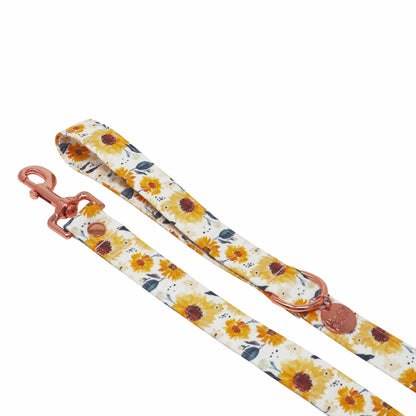 "Summertime" Leash