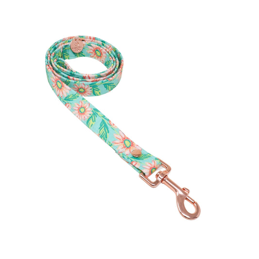 "Riviera Maya" Leash