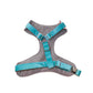"Peppermint" Chest Harness