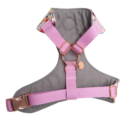 "Encanto" Chest Harness