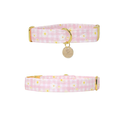 "Daffodil" Collar