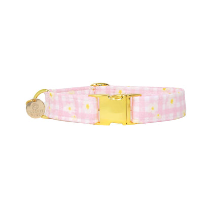 "Daffodil" Collar