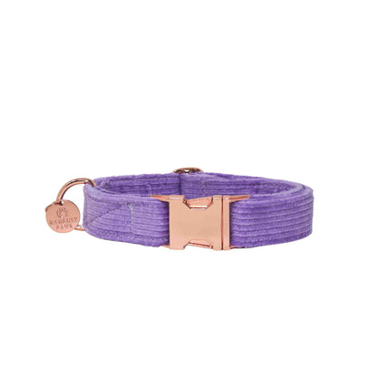 "Paris" Corduroy Collar