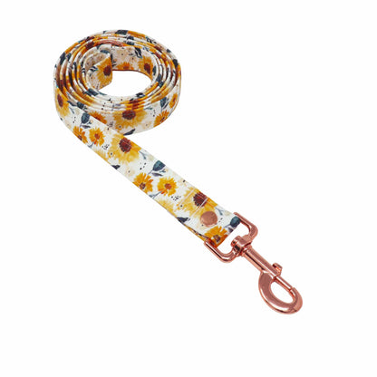 "Summertime" Leash