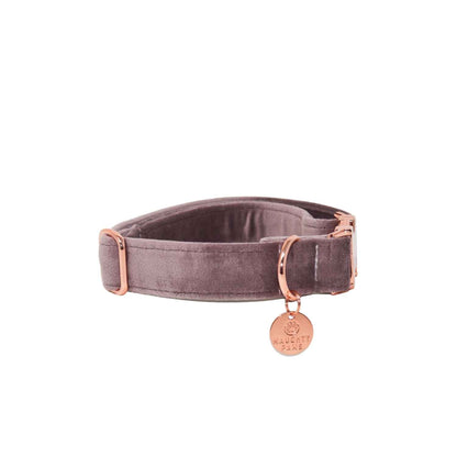 "AMNESIA ROSE" COLLAR